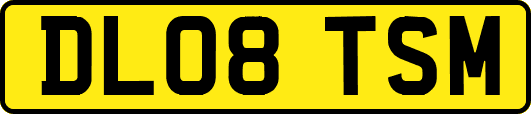 DL08TSM