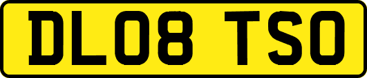 DL08TSO