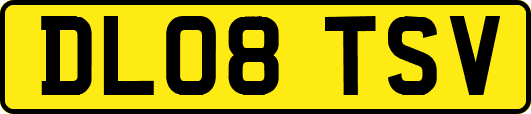 DL08TSV
