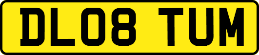 DL08TUM