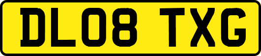 DL08TXG