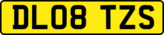 DL08TZS