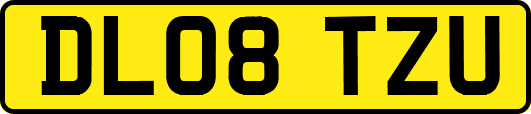 DL08TZU