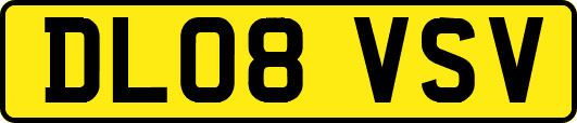 DL08VSV
