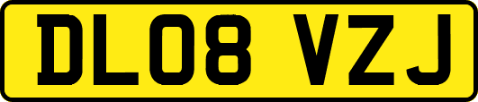 DL08VZJ