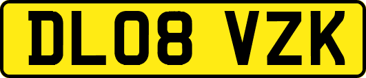 DL08VZK