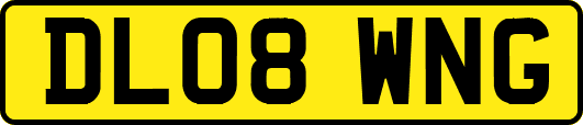 DL08WNG
