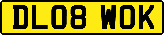 DL08WOK