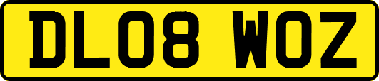 DL08WOZ