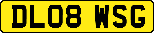 DL08WSG