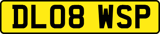 DL08WSP