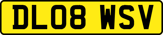 DL08WSV
