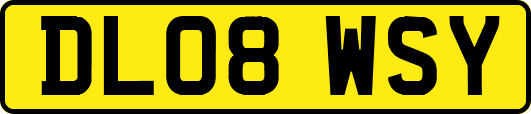 DL08WSY