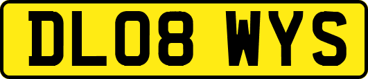 DL08WYS