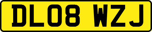 DL08WZJ