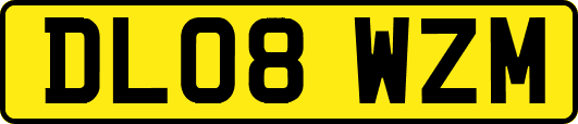 DL08WZM