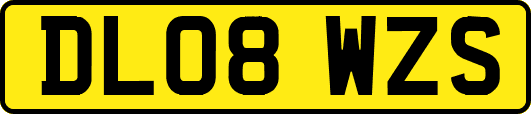 DL08WZS