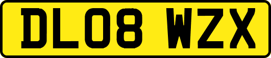 DL08WZX