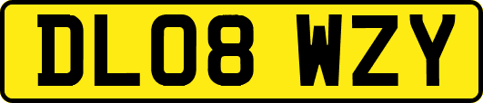 DL08WZY