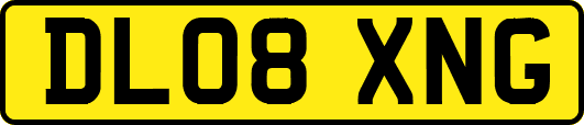 DL08XNG