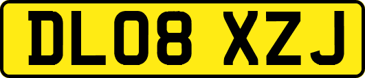 DL08XZJ