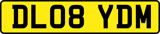 DL08YDM