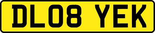 DL08YEK