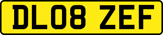 DL08ZEF