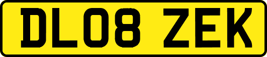 DL08ZEK