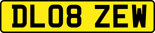 DL08ZEW