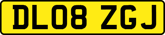 DL08ZGJ