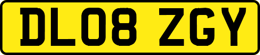 DL08ZGY