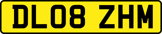 DL08ZHM