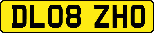 DL08ZHO