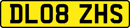 DL08ZHS