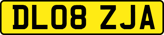 DL08ZJA