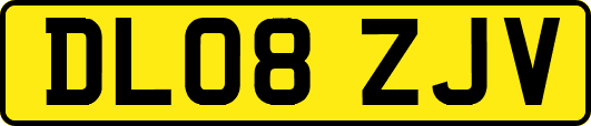 DL08ZJV