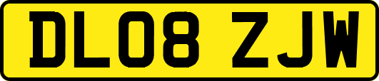 DL08ZJW