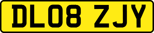 DL08ZJY