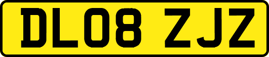DL08ZJZ