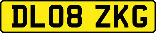 DL08ZKG