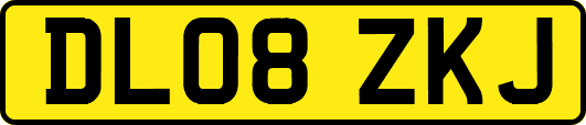 DL08ZKJ