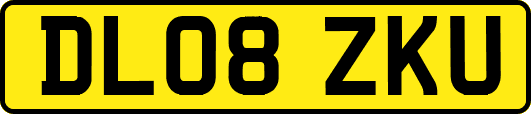 DL08ZKU