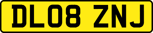 DL08ZNJ