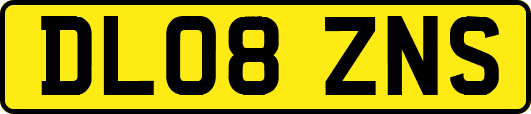 DL08ZNS
