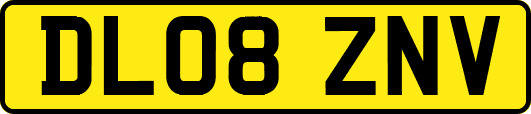DL08ZNV