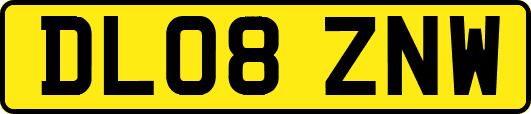 DL08ZNW