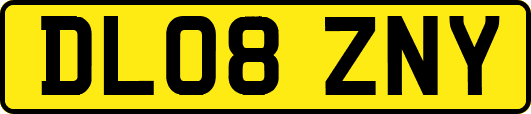 DL08ZNY