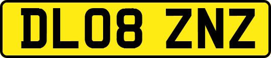 DL08ZNZ