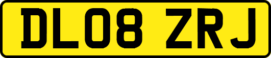 DL08ZRJ